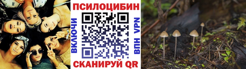 цена наркотик  OMG ссылки  Псилоцибиновые грибы Magic Shrooms  Нягань 